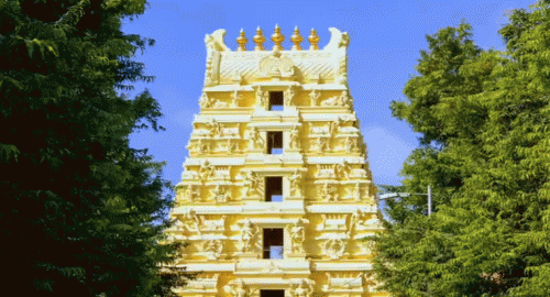 శ్రీశైలం దేవస్థానం ఉచిత స్పర్శ దర్శనం వారికి మాత్రమే