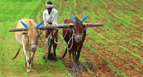 మీ దగ్గర ఈ 11 అంకెల ఐడీ ఉందా, లేకపోతే ఇబ్బందే!