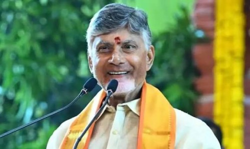 పన్ను ఎగవేతలను అరికట్టాలని అధికారులకు సీఎం చంద్రబాబు ఆదేశం