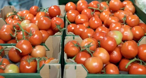 పడిపోయిన కూరగాయల ధరలు