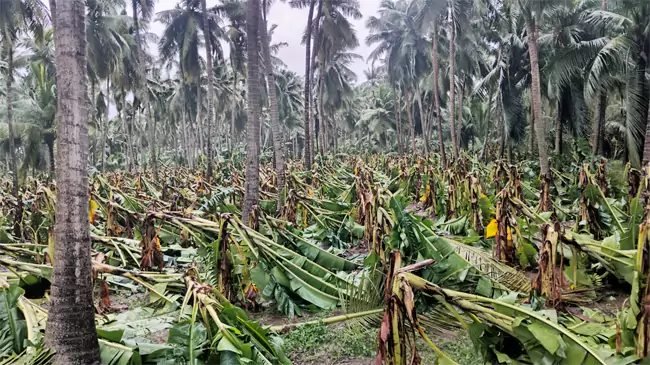 అర్నబ్‌ తుపాను తీవ్ర ప్రభావం 
