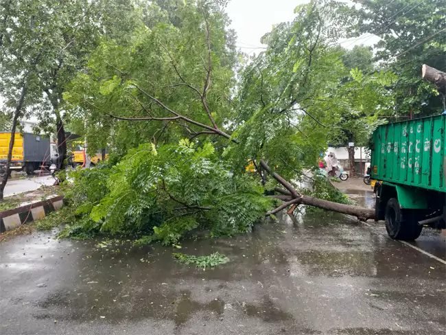 అర్నబ్‌ తుపాను తీవ్ర ప్రభావం 