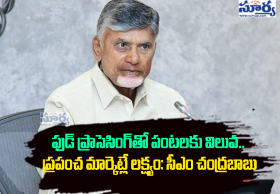 ఫుడ్ ప్రాసెసింగ్‌తో పంటలకు విలువ.. ప్రపంచ మార్కెట్లే లక్ష్యం: సీఎం చంద్రబాబు