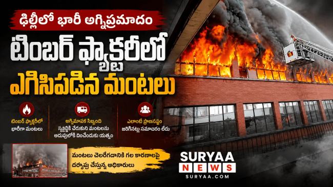 న్యూఢిల్లీలో భారీ అగ్నిప్రమాదం: టింబర్ ఫ్యాక్టరీలో ఎగిసిపడిన మంటలు