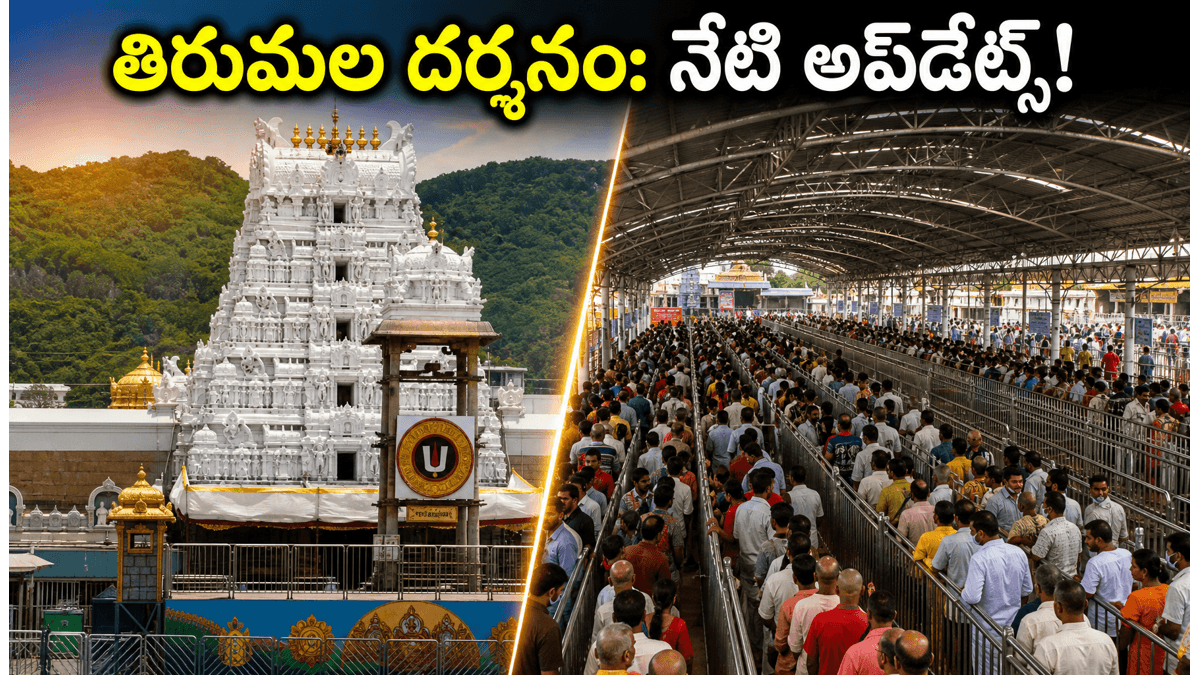 తిరుపతి సర్వదర్శనానికి ఎంత టైం పడుతుంది? ఈరోజు సెప్టెంబర్ 2 లేటెస్ట్ అప్డేట్ - వెళ్లే ముందు ఇది తప్పక తెలుసుకోండి!