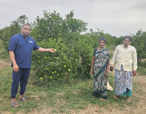 బత్తాయి తోటలను పరిశీలించిన డాక్టర్ మల్లికార్జున రెడ్డి
