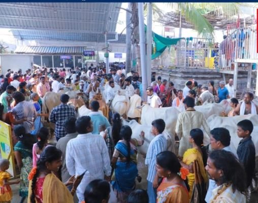 శ్రీ భీమేశ్వర స్వామివారిని దర్శించిన 1,05,600 మంది భక్తులు 