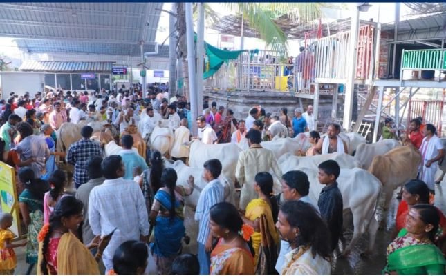 వేములవాడలో అఖండ భక్తజనం.. దేవాలయ చరిత్రలో ఘననీయమైన ఆదాయం.. శ్రీ భీమేశ్వర స్వామివారిని దర్శించుకున్న 1,05,600 మంది భక్తులు..
