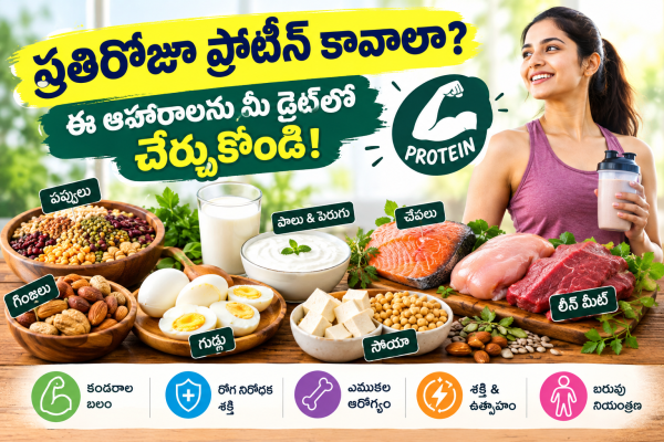 ప్రతిరోజూ ప్రోటీన్ కావాలా? ఈ ఆహారాలను మీ డైట్‌లో చేర్చుకోండి!