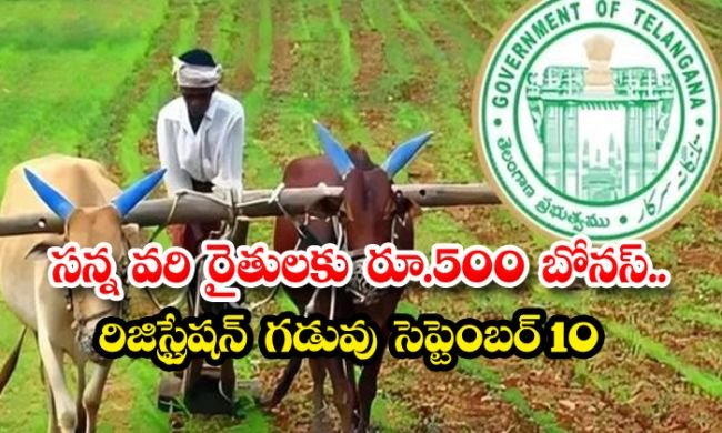 సన్న వరి రైతులకు అలర్ట్.. రూ. 500 బోనస్ పొందడానికి సెప్టెంబర్ 10 చివరి గడువు!