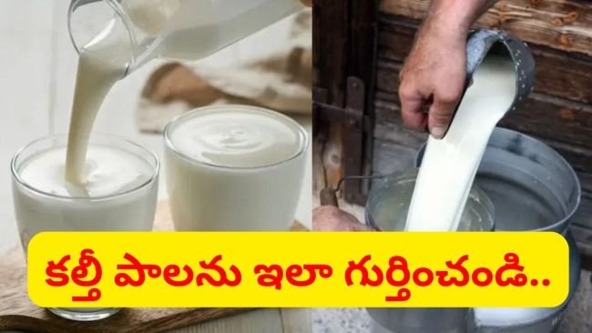 పాలు కల్తీ అవుతున్నాయా?.. ఇలా సులభంగా గుర్తించండి!