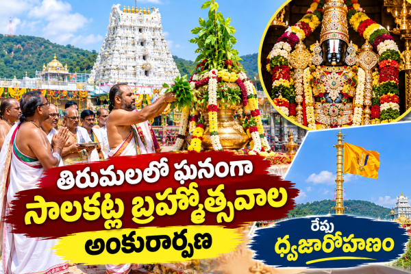 తిరుమలలో ఘనంగా సాలకట్ల బ్రహ్మోత్సవాల అంకురార్పణ: రేపు ధ్వజారోహణం