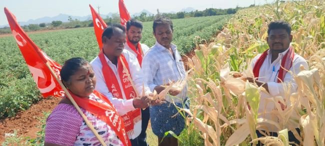 పెనకచర్ల డ్యామ్ కు నీటిని విడుదల చేయాలి