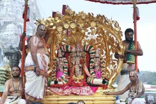 భక్తిశ్రద్ధలతో తిరుమల శ్రీవారి సాలకట్ల బ్రహ్మోత్సవాలు - కల్పవృక్ష వాహనంపై భక్తులకు అభయమిచ్చిన మలయప్ప స్వామి