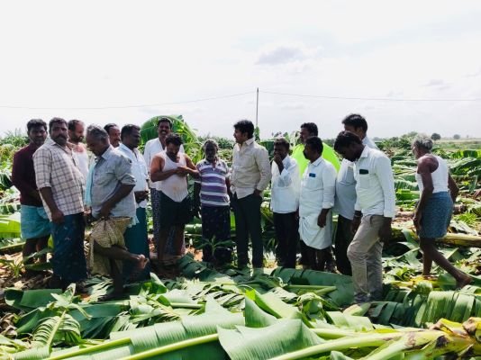 ఆత్మకూరు మండలంలో గాలివాన బీభత్సం