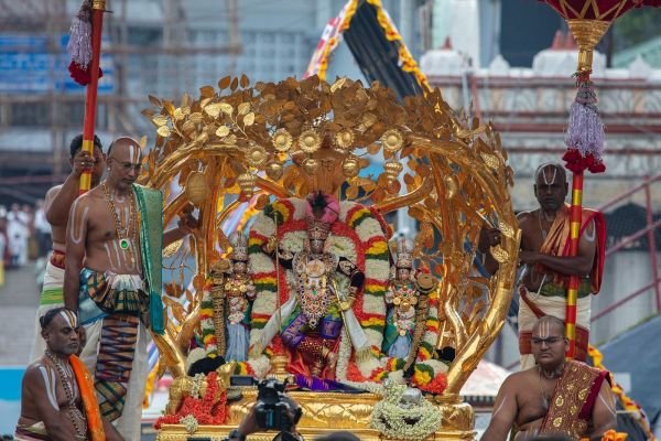 కల్పవృక్ష వాహనంపై గోవుల గోపన్న అలంకారంలో శ్రీమలయప్ప