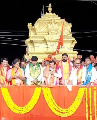 తాండూరులో అంగరంగ వైభవంగా వినాయకుల నిమజ్జనం