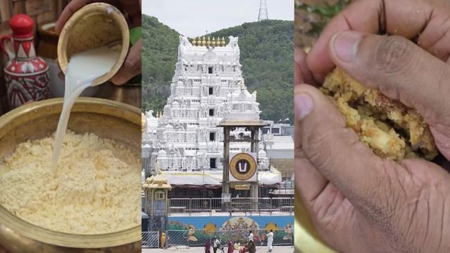  తిరుమల కల్తీ నెయ్యి కేసులో మరో కీలక అరెస్ట్.. ఈడీ అదుపులో ప్రధాన నిందితుడు