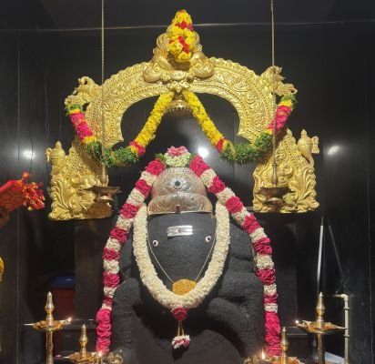 శ్రీకృష్ణ వర్ణంలో దర్శనమిచ్చిన సిద్ధి గణపతి