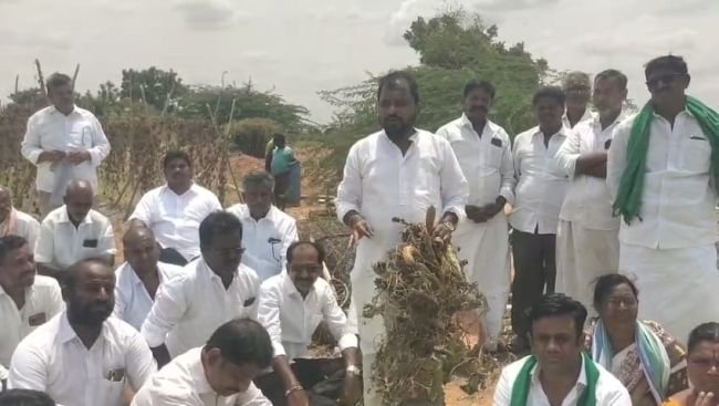 ఎండిపోయిన పంటలను పరిశీలించిన మాజీ మంత్రి సాకే శైలజానాథ్