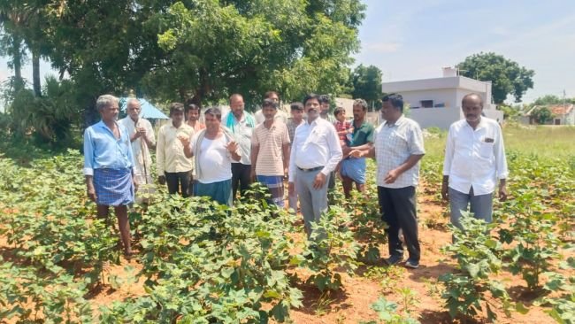 పంట మార్పిడి విధానంతో అధిక దిగుబడులు సాధించాలి: జిల్లా వ్యవసాయ అధికారి ఉల్లోజు వినోద్‌కుమార్