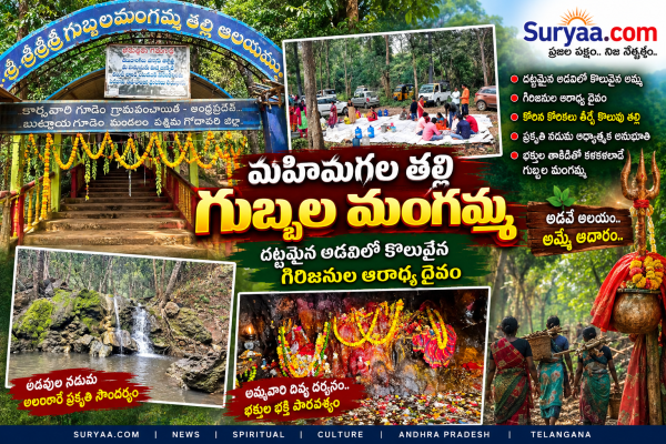 మహిమగల తల్లి గుబ్బల మంగమ్మ.. దట్టమైన అడవిలో కొలువైన గిరిజనుల ఆరాధ్య దైవం