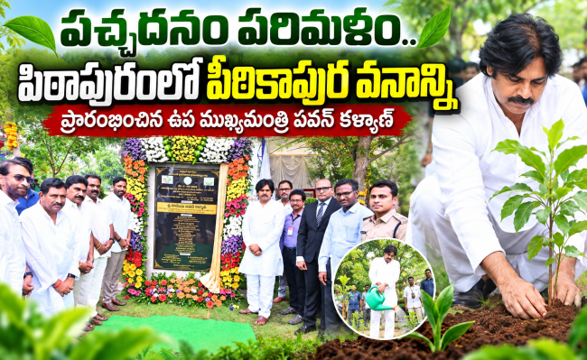 పచ్చదనం పరిమళం.. పిఠాపురంలో పీఠికాపుర వనాన్ని ప్రారంభించిన ఉప ముఖ్యమంత్రి పవన్ కళ్యాణ్