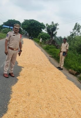 రోడ్లపై ధాన్యం, ఆరబెట్టడం వల్ల తీవ్ర ప్రమాదాలు 
