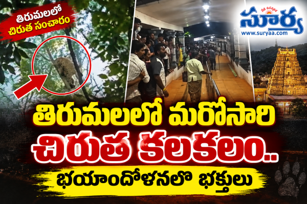 తిరుమలలో మరోసారి చిరుత కలకలం.. భయాందోళనలో భక్తులు