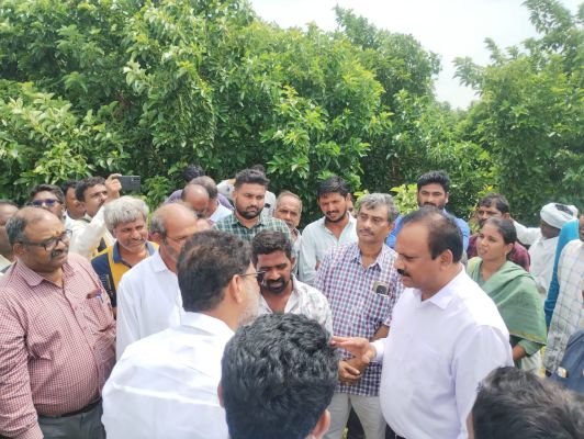 అవకాడో సాగుపై కలెక్టర్ ప్రశంసలు 