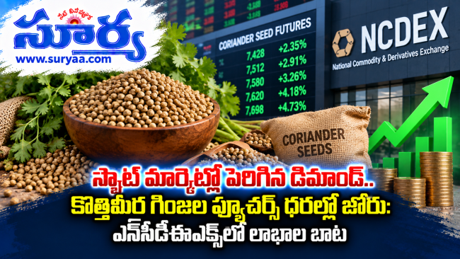 స్పాట్ మార్కెట్లో పెరిగిన డిమాండ్.. కొత్తిమీర గింజల ఫ్యూచర్స్ ధరల్లో జోరు: ఎన్‌సీడీఈఎక్స్‌లో లాభాల బాట