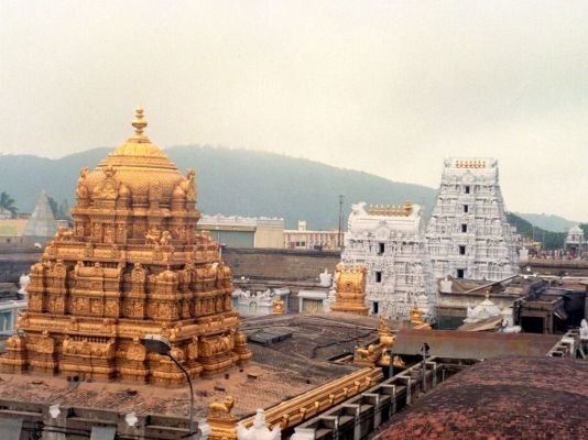 తిరుమలలో తగ్గిన భక్తుల రద్దీ.. నేరుగా శ్రీవారి దర్శనం