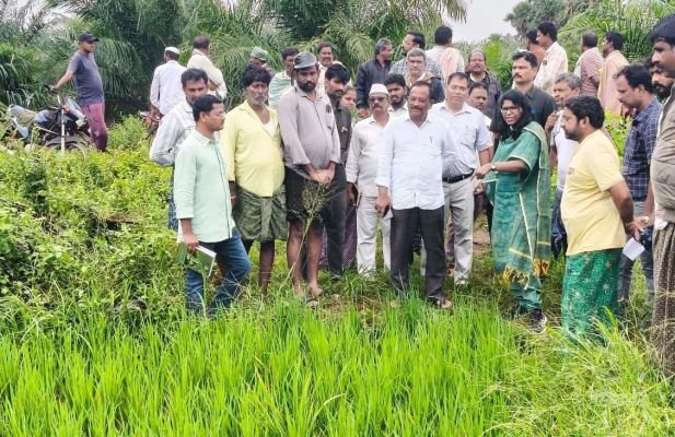 రైతులు తప్పనిసరిగా వ్యవసాయ అధికారుల సూచనలు పాటించాలి