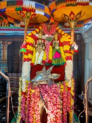 మూలస్థానేశ్వరాలయంలో ప్రదోషకాల పూజ