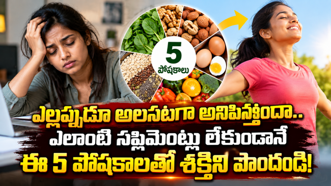ఎల్లప్పుడూ అలసటగా అనిపిస్తోందా.. ఎలాంటి సప్లిమెంట్లు లేకుండానే ఈ 5 పోషకాలతో శక్తిని పొందండి!