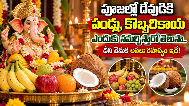 పూజల్లో దేవుడికి పండ్లు, కొబ్బరికాయ ఎందుకు సమర్పిస్తారో తెలుసా.. దీని వెనుక అసలు రహస్యం ఇదే!