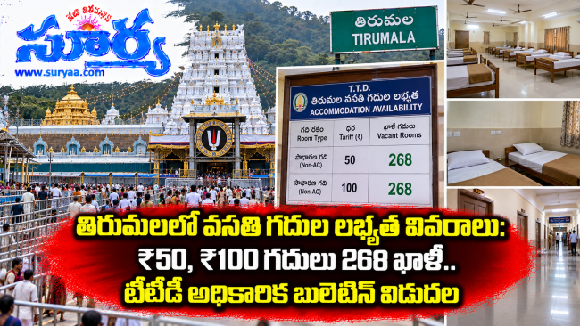 తిరుమలలో వసతి గదుల లభ్యత వివరాలు: ₹50, ₹100 గదులు 268 ఖాళీ.. టీటీడీ అధికారిక బులెటిన్ విడుదల