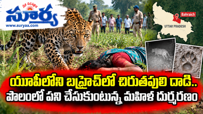 యూపీలోని బహ్రైచ్‌లో చిరుతపులి దాడి.. పొలంలో పని చేసుకుంటున్న మహిళ దుర్మరణం