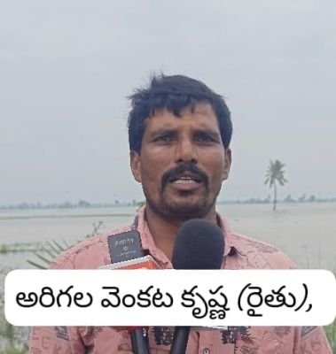 నీటి మునిగిన వెయ్యి ఎకరాల వరి సాగు 