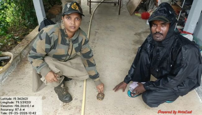 ఇంటికి వచ్చిన నక్షత్ర తాబేలు అడవిలోకి..