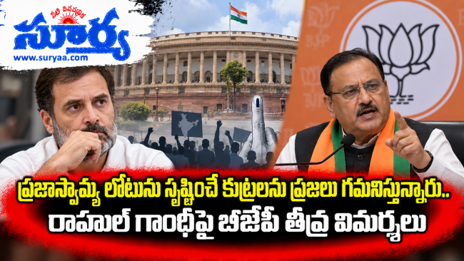ప్రజాస్వామ్య లోటును సృష్టించే కుట్రలను ప్రజలు గమనిస్తున్నారు.. రాహుల్ గాంధీపై బీజేపీ తీవ్ర విమర్శలు