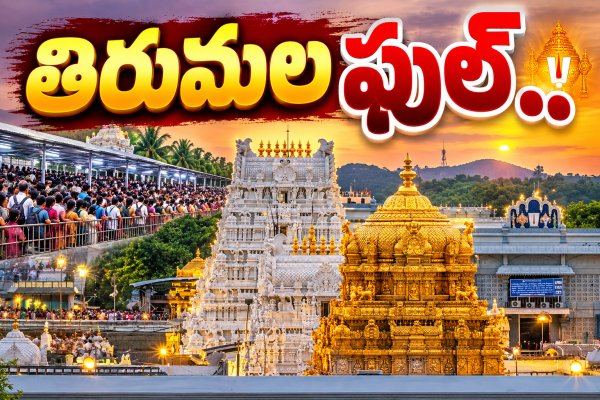 కిక్కిరిసిన క్యూ లైన్లు .. సర్వదర్శనానికి 15 గంటలు 