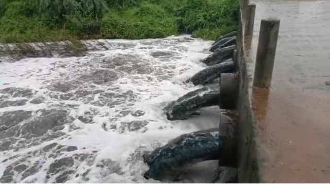 ఉప ముఖ్యమంత్రి పవన్ కళ్యాణ్ ఆదేశాలతో కదిలిన ఏపీ పీసీబీ