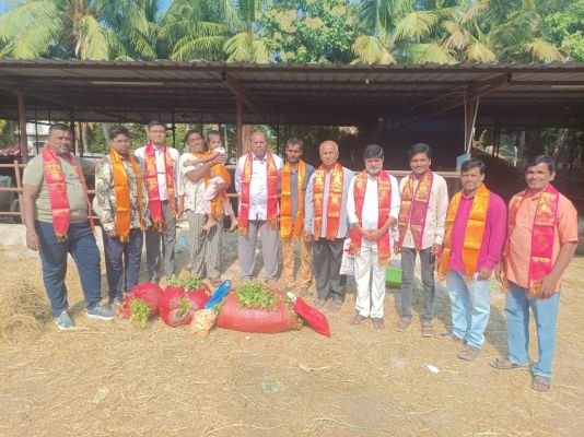అనంతపురంలో ప్రతి ఆదివారం నిరంతరంగా గోసేవ కార్యక్రమం