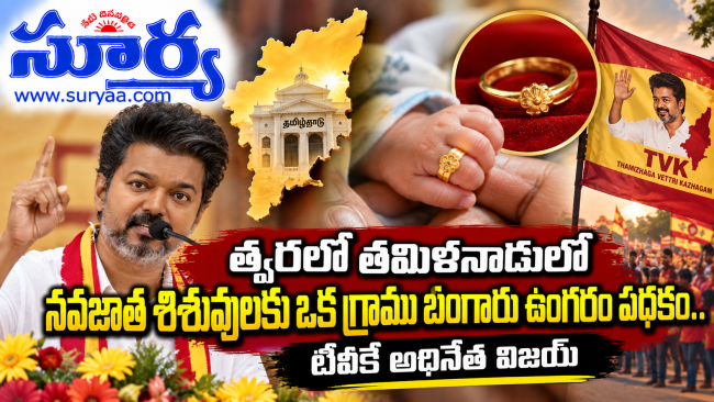 త్వరలో తమిళనాడులో నవజాత శిశువులకు 1 గ్రాము బంగారు ఉంగరం పథకం..  ప్రారంభించనున్న టీవీకే అధినేత విజయ్