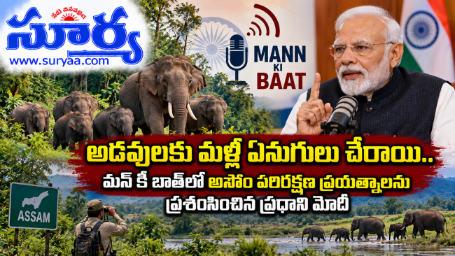 అడవులకు మళ్లీ ఏనుగులు చేరాయి.. మన్ కీ బాత్‌లో అసోం పరిరక్షణ ప్రయత్నాలను ప్రశంసించిన ప్రధాని మోదీ