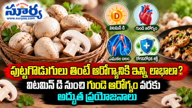 పుట్టగొడుగులు తింటే ఆరోగ్యానికి ఇన్ని లాభాలా? విటమిన్ డి నుంచి గుండె ఆరోగ్యం వరకు అద్భుత ప్రయోజనాలు