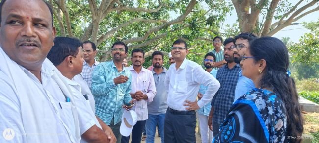 ముంపు వరి పంటను పరిశీలించిన కలెక్టర్