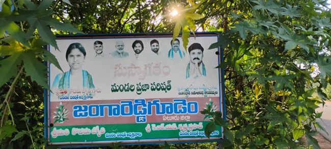 జిల్లా ప్రజా పరిషత్తులు, మండల ప్రజా పరిషత్తుల పదవీకాలం ముగిసేనా..?