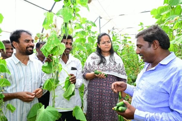 ఏలినో ప్రభావాన్ని అధిగమించే ప్రత్యామ్నాయ పంటలపై రైతులు మొగ్గు చూపాలి.